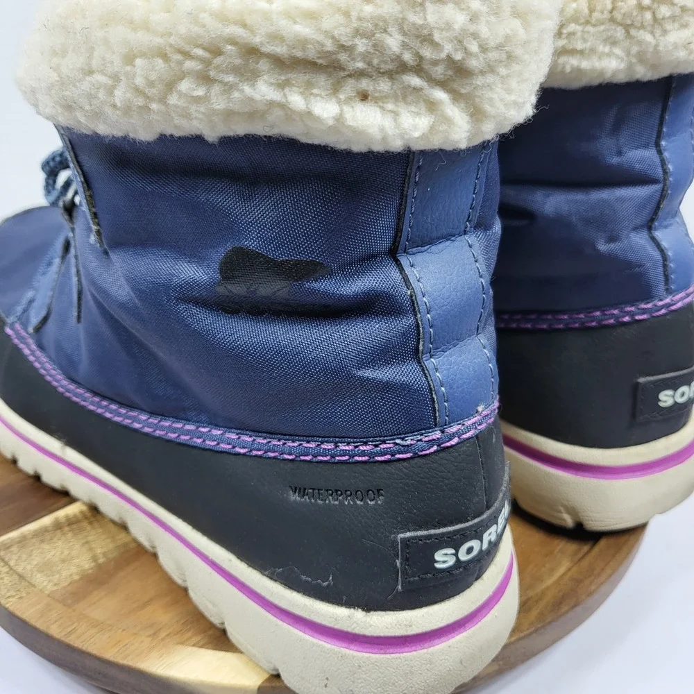 Sorel ai models